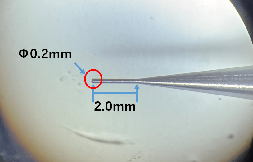 段付きピン　外径φ5.0　先端部φ0.20　有効2.0